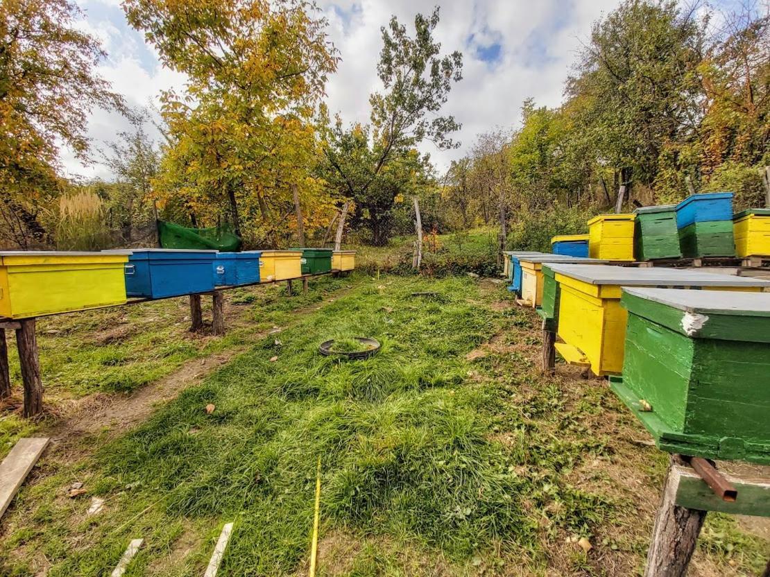 Pensiunea Agroturistica Piscul Soarelui Cîmpulung Exterior foto