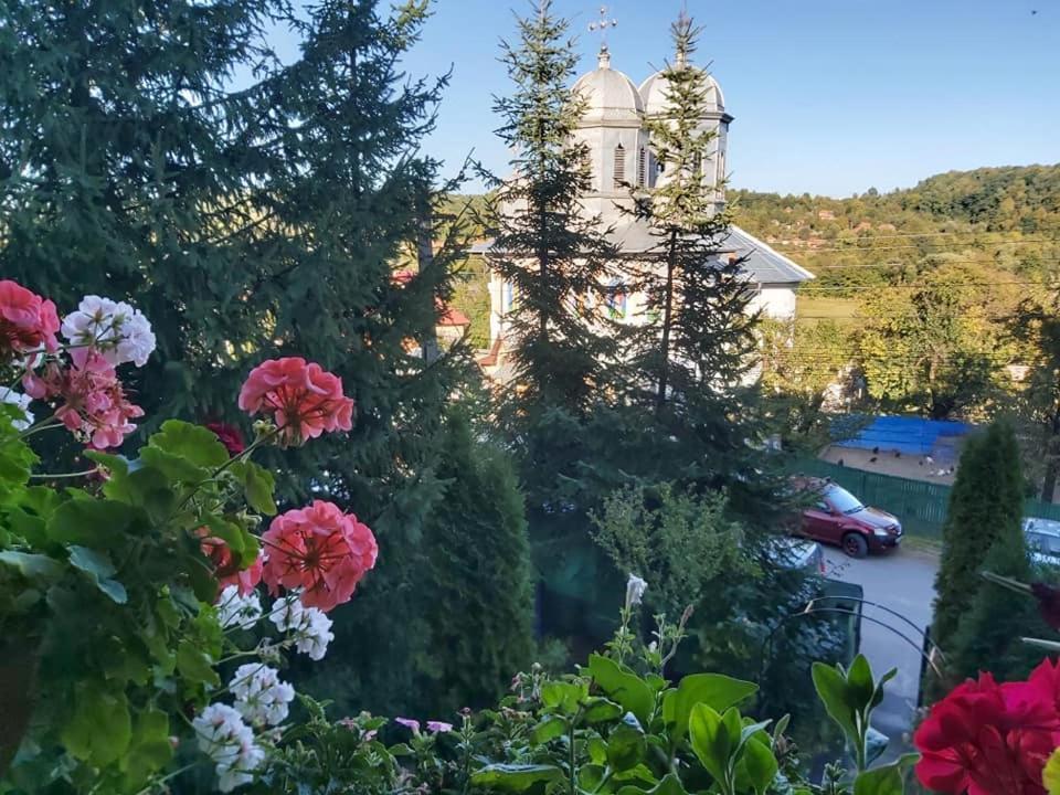 Pensiunea Agroturistica Piscul Soarelui Cîmpulung Exterior foto