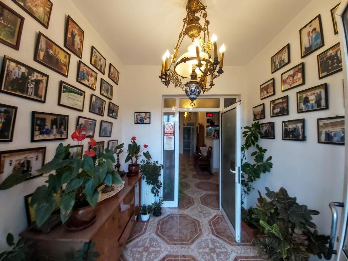Pensiunea Agroturistica Piscul Soarelui Cîmpulung Exterior foto