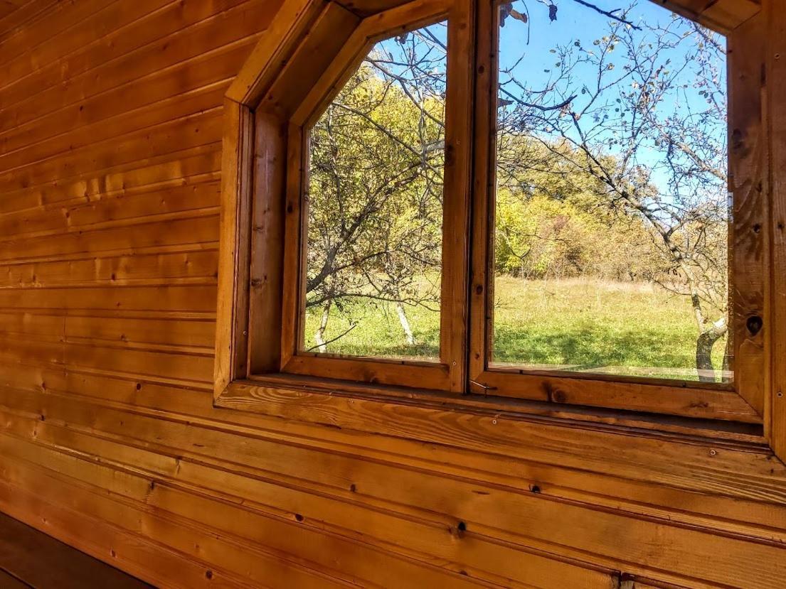 Pensiunea Agroturistica Piscul Soarelui Cîmpulung Exterior foto