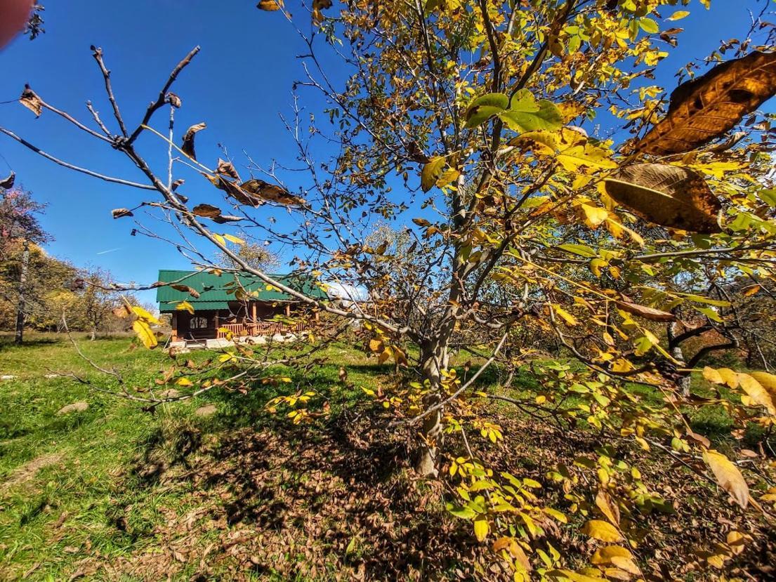 Pensiunea Agroturistica Piscul Soarelui Cîmpulung Exterior foto