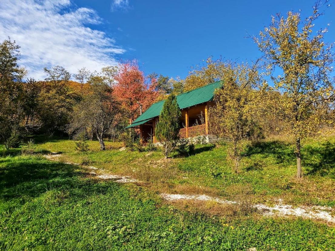 Pensiunea Agroturistica Piscul Soarelui Cîmpulung Exterior foto