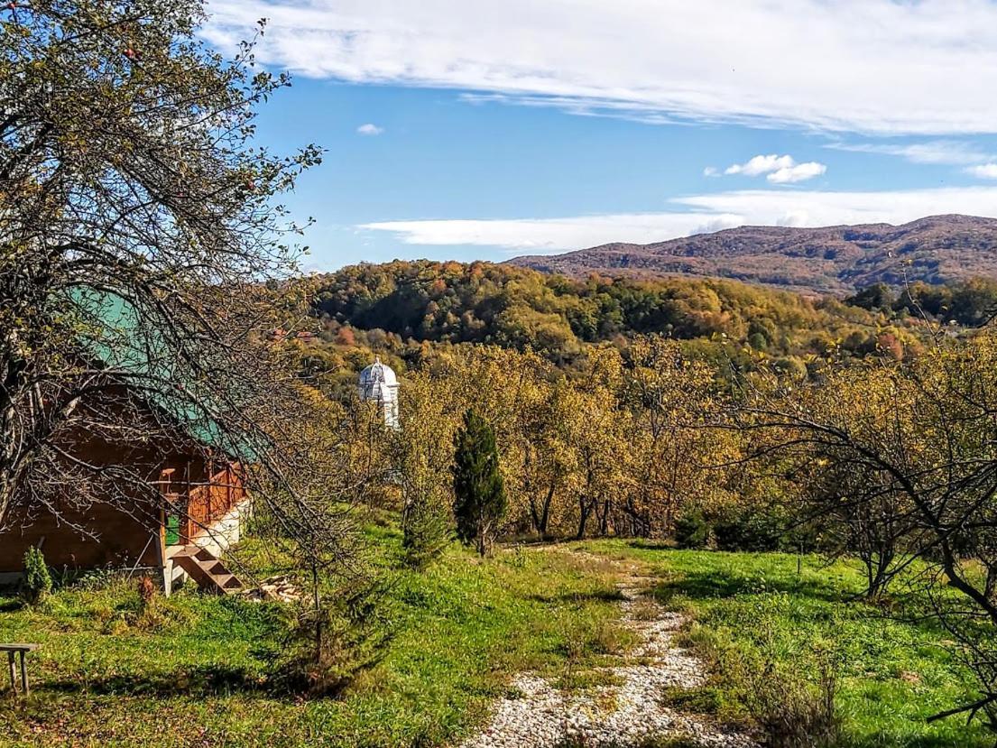 Pensiunea Agroturistica Piscul Soarelui Cîmpulung Exterior foto