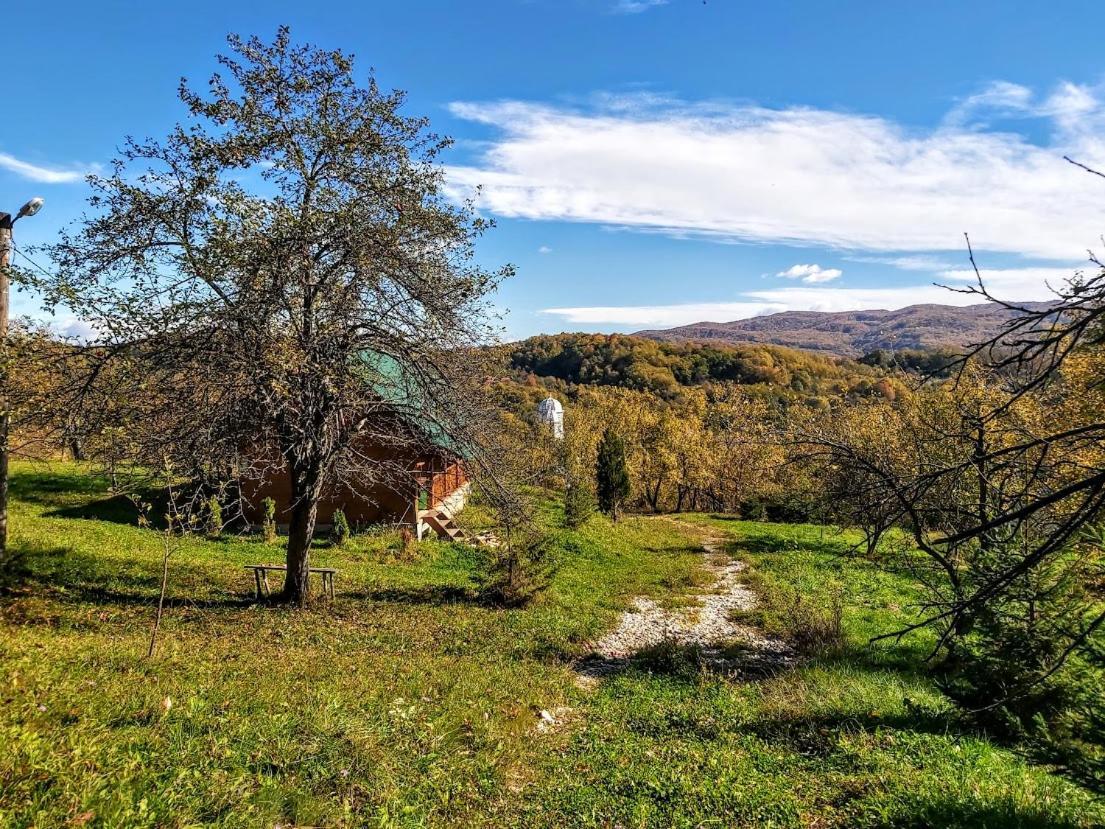 Pensiunea Agroturistica Piscul Soarelui Cîmpulung Exterior foto